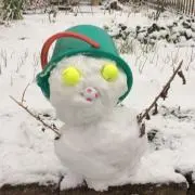 Aiの画像