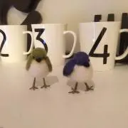 ROCKYTINTIN