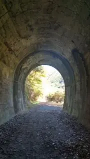 Oliverの画像