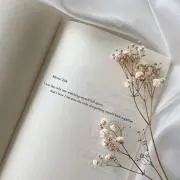 りんごの画像