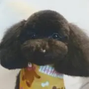 925mjの画像