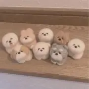 ちっちの画像