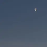 けろっぴの画像