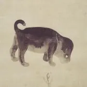 puppyの画像