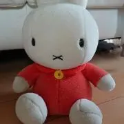 ゆきのひうさこ　プロフ読んでくださいの画像