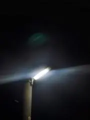 ぱおの画像