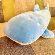 ぽんの画像