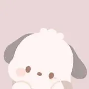 ちゃっこの画像