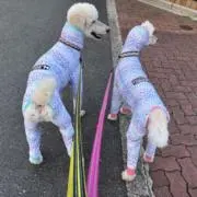kkhanaponの画像