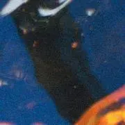 RRR’の画像