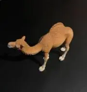 S.カルマ