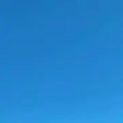 Potorato⭐︎次回発送日8/18の画像