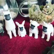へいちゃん。の画像