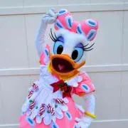 あʕ•̫͡•ʔの画像