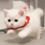みずの画像