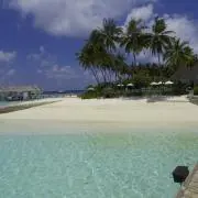 aayaaの画像