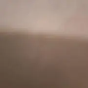 まさこ