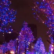 あ～ちゃん☆の画像