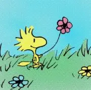 ウッド★★の画像