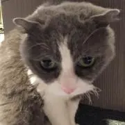 m.の画像