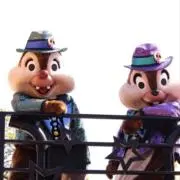 suzuの画像