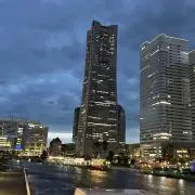 チーズおいしいの画像