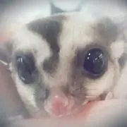 うる。*°☆