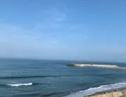 avolonteの画像