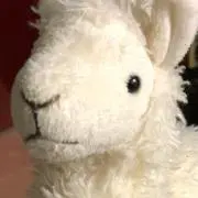 hachiの画像