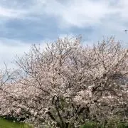 ジュリアン