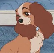 ゆずは (発送遅れるかもしれません)の画像