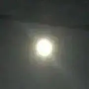 値下げ交渉なし　プロフ読んでの画像