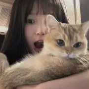 結 菜