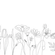 uni ❁フォロー割引あります ❁の画像