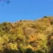 まことの画像