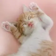 ◇acechan◇質問逃げはブロックの画像