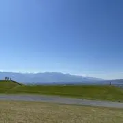 tの画像