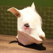 やぎやぎの画像
