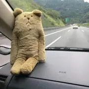 yukipig 0405の画像