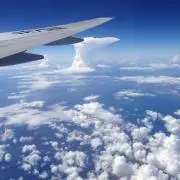 TTMの画像
