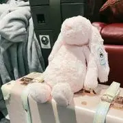 きのこの画像