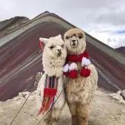 pico