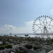 よねの画像