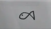さかなの画像