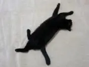 KYOSAKOの画像