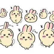 みっちゃんの画像