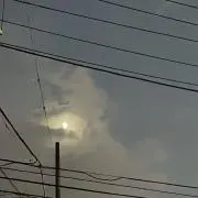 蝶