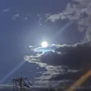まめの画像