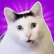 Gpeの画像