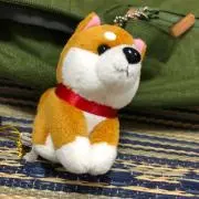 みかん